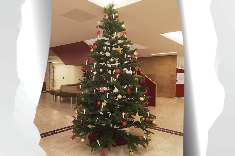 Tag 1: Weihnachtlich geschmückter Tannenbaum am KBR