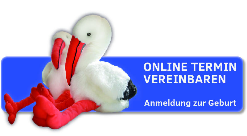 Zwei Stofftier-Störche vor einer Schaltfläche mit dem Text "Online Termin vereinbaren. Anmeldung zur Geburt"