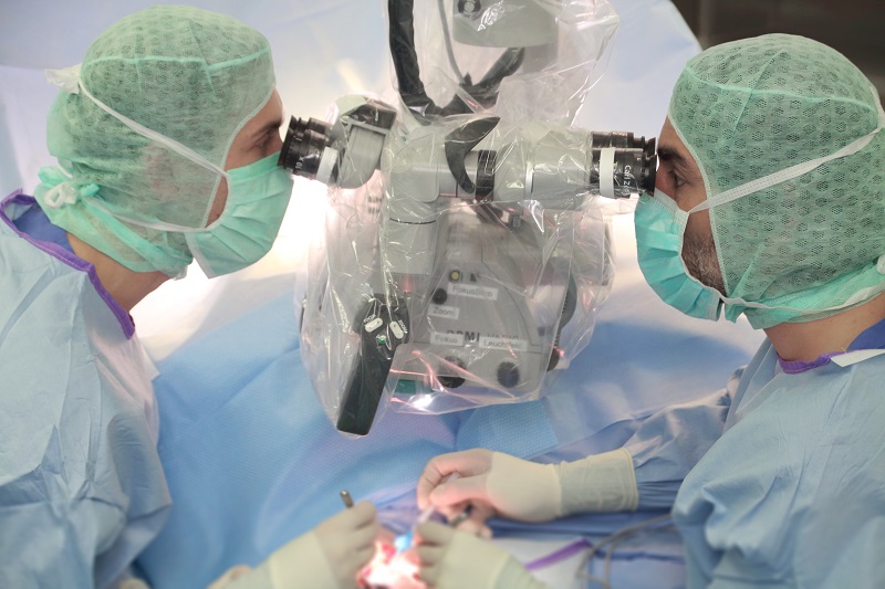 Schmuckbild: zwei Ärzte während einer mikrochirurgischen Operation; verlinkt zur 'Sektion Plastische und Ästhetische Chirurgie'