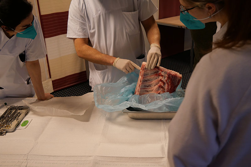 Sebastian Rauschenbach, Anästhesist am Klinikum Bremerhaven-Reinkenheide, demonstriert seinen Kolleginnen und Kollegen das Vorgehen an einem Stück Brustkorb vom Schwein
