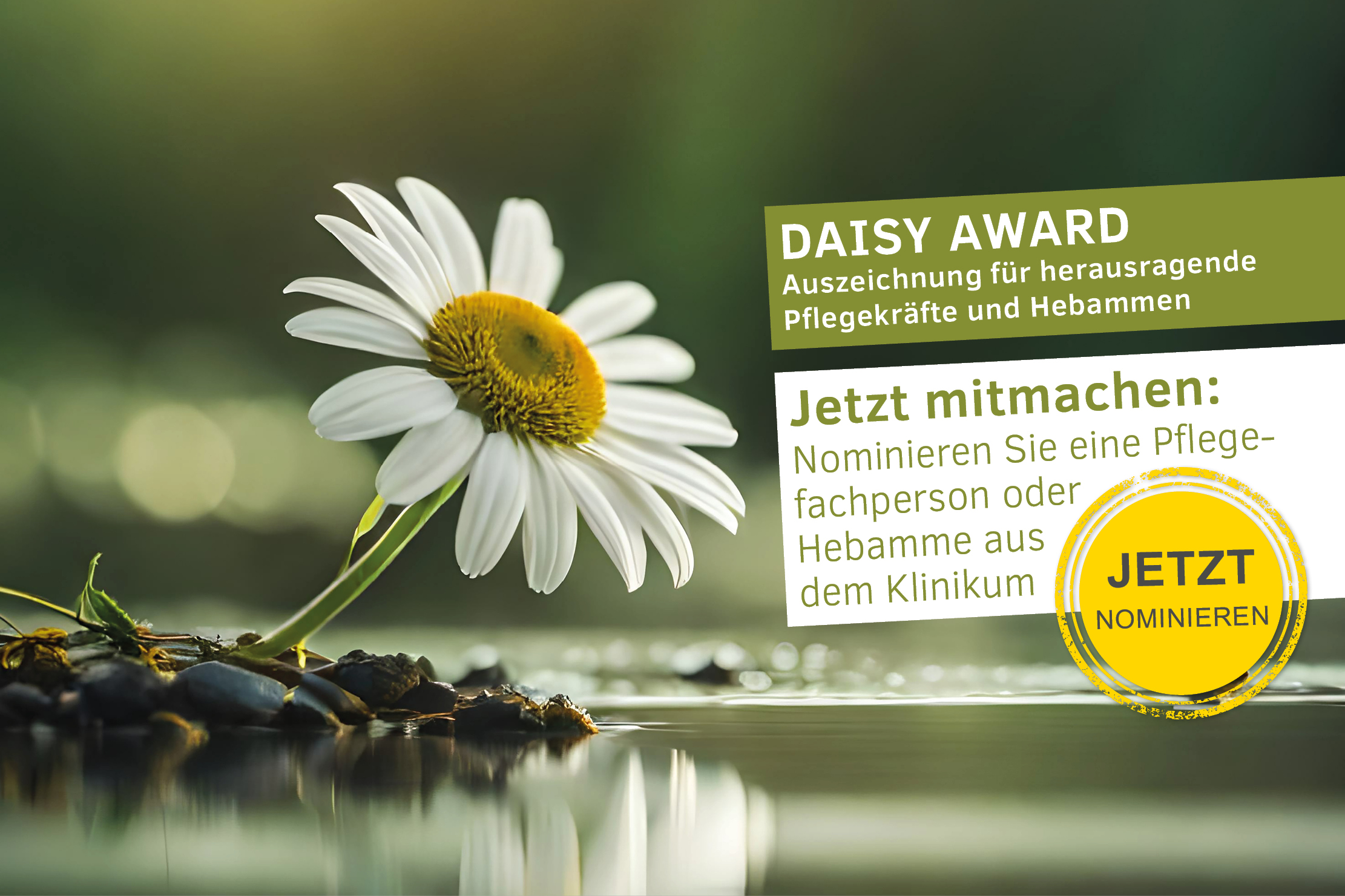 Bild eines Gänseblümchens mit Text "DAISY Award. Auszeichnung für herausragende Pflegekräfte und Hebammen. jetzt mitmachen: Nominieren Sie eine Pflegeperson oder Hebamme aus dem Klinikum. JETZT nominieren"